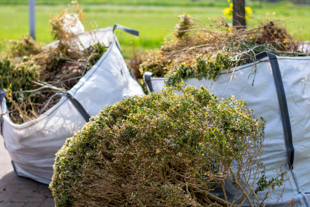 Best Electronics and E-Waste Disposal  in Strum, WI